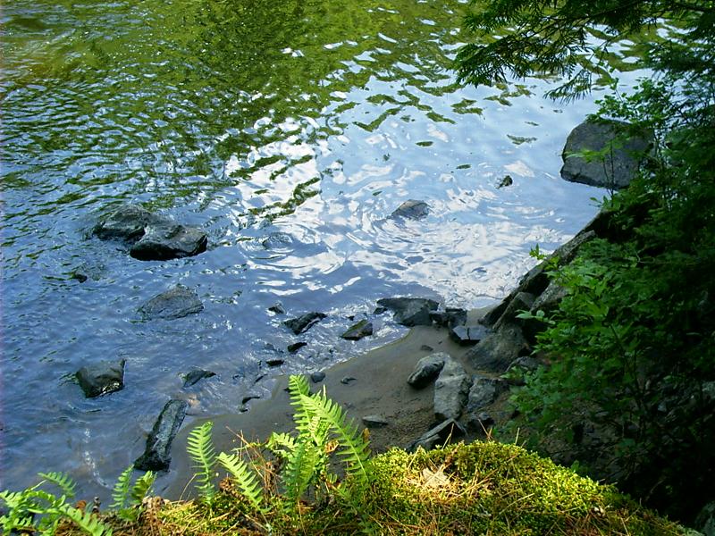 Chronology The Northwoods